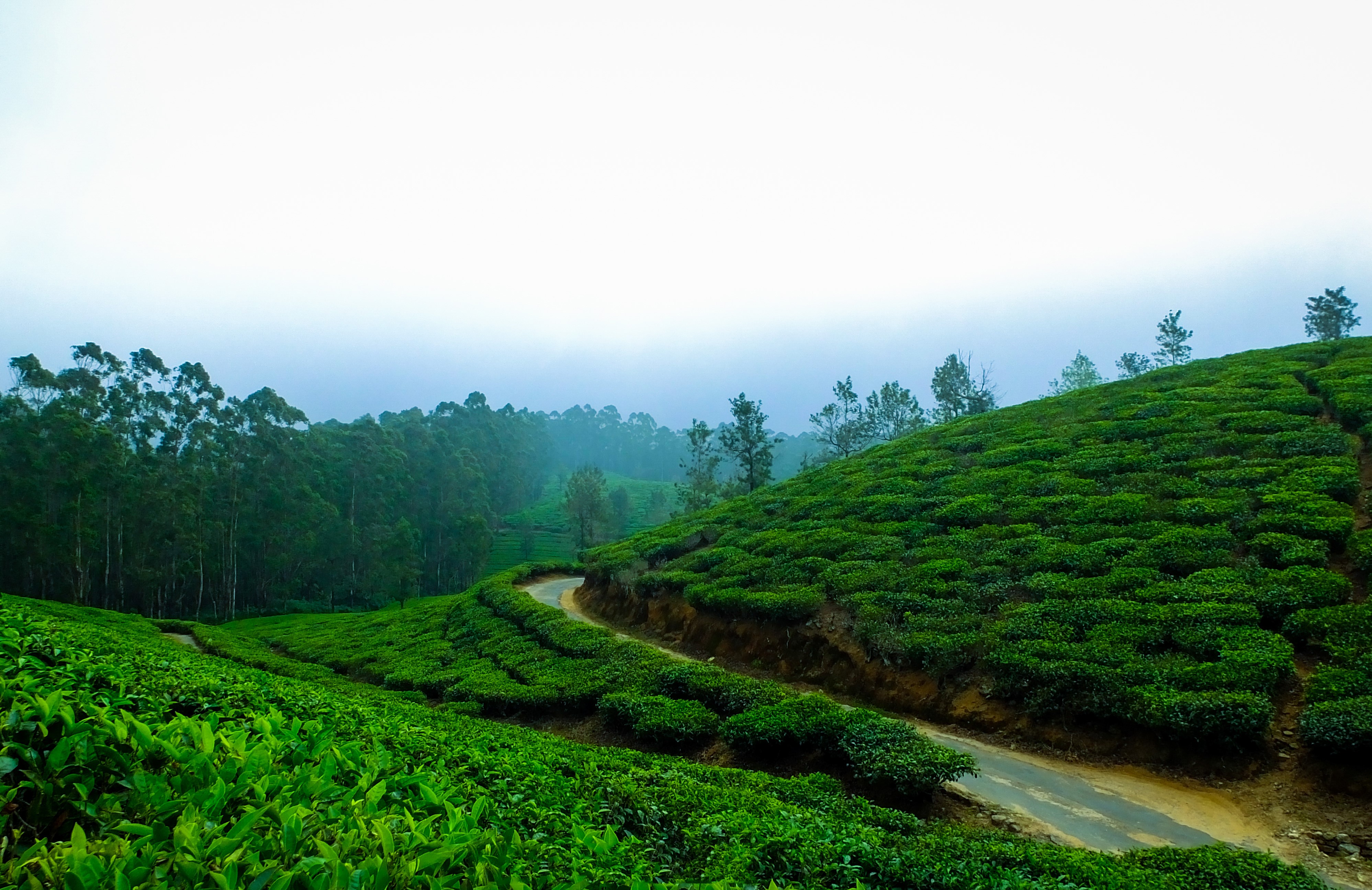 KERALA TOUR PACKAGES